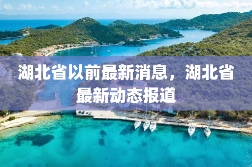 湖北省以前最新消息，湖北省最新動態(tài)報道