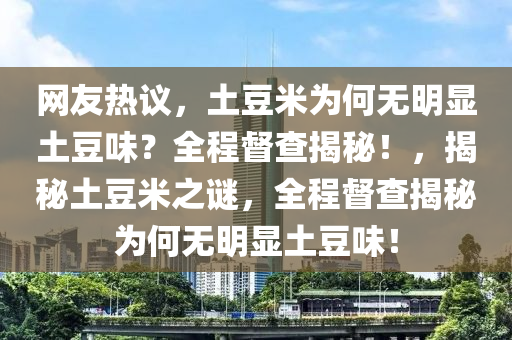 網(wǎng)友熱議，土豆米為何無明顯土豆味？全程督查揭秘！，揭秘土豆米之謎，全程督查揭秘為何無明顯土豆味！