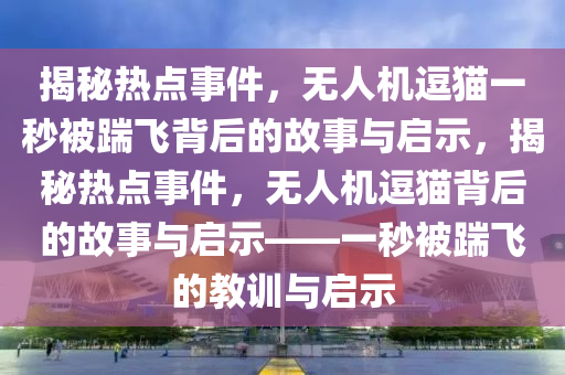 揭秘?zé)狳c(diǎn)事件，無人機(jī)逗貓一秒被踹飛背后的故事與啟示，揭秘?zé)狳c(diǎn)事件，無人機(jī)逗貓背后的故事與啟示——一秒被踹飛的教訓(xùn)與啟示