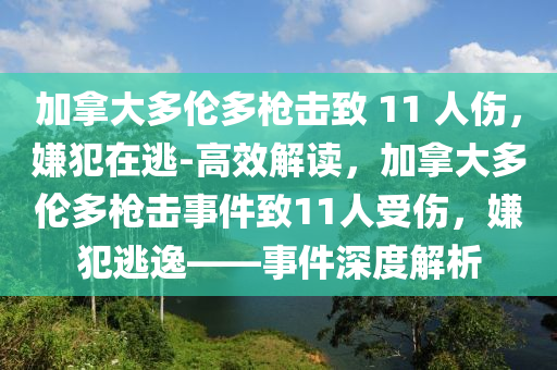 加拿大多倫多槍擊致 11 人傷