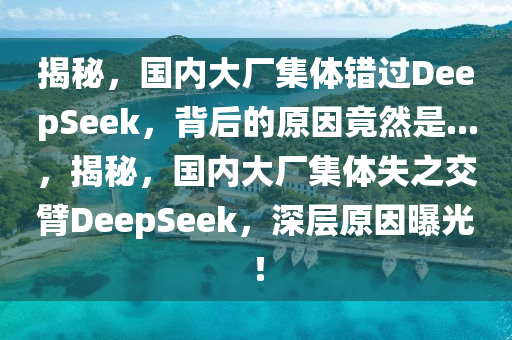 揭秘，國內大廠集體錯過DeepSeek，背后的原因竟然是...，揭秘，國內大廠集體失之交臂DeepSeek，深層原因曝光！