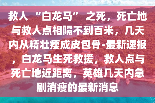 救人 “白龍馬” 之死，死亡地與救人點(diǎn)相隔不到百米，幾天內(nèi)從精壯瘦成皮包骨-最新速報(bào)，白龍馬生死救援，救人點(diǎn)與死亡地近距離，英雄幾天內(nèi)急劇消瘦的最新消息