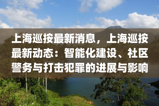 上海巡按最新消息，上海巡按最新動態(tài)：智能化建設(shè)、社區(qū)警務(wù)與打擊犯罪的進(jìn)展與影響