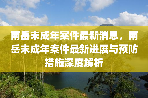 南岳未成年案件最新消息，南岳未成年案件最新進展與預(yù)防措施深度解析