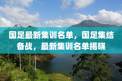 國(guó)足最新集訓(xùn)名單，國(guó)足集結(jié)備戰(zhàn)，最新集訓(xùn)名單揭曉