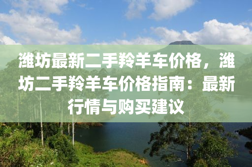 濰坊最新二手羚羊車價(jià)格，濰坊二手羚羊車價(jià)格指南：最新行情與購買建議