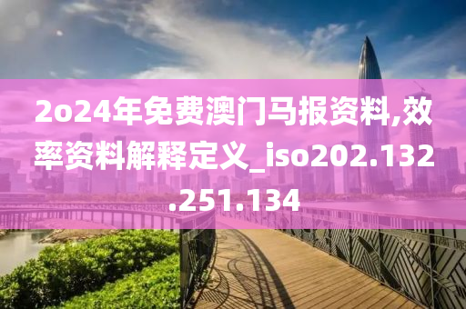 2o24年免費(fèi)澳門馬報(bào)資料,效率資料解釋定義_iso202.132.251.134