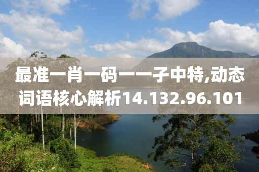 最準(zhǔn)一肖一碼一一孑中特,動態(tài)詞語核心解析14.132.96.101