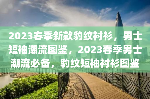 2023春季新款豹紋襯衫，男士短袖潮流圖鑒，2023春季男士潮流必備，豹紋短袖襯衫圖鑒