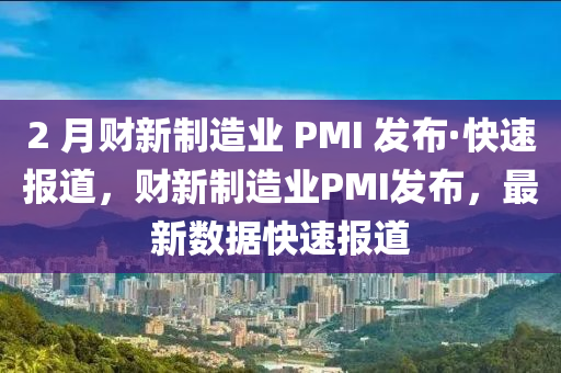 2 月財(cái)新制造業(yè) PMI 發(fā)布·快速報(bào)道，財(cái)新制造業(yè)PMI發(fā)布，最新數(shù)據(jù)快速報(bào)道