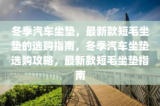 冬季汽車坐墊，最新款短毛坐墊的選購指南，冬季汽車坐墊選購攻略，最新款短毛坐墊指南