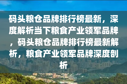 碼頭糧倉品牌排行榜最新，深度解析當(dāng)下糧食產(chǎn)業(yè)領(lǐng)軍品牌，碼頭糧倉品牌排行榜最新解析，糧食產(chǎn)業(yè)領(lǐng)軍品牌深度剖析