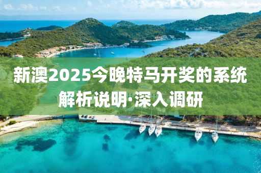 新澳2025今晚特馬開獎的系統(tǒng)解析說明·深入調(diào)研