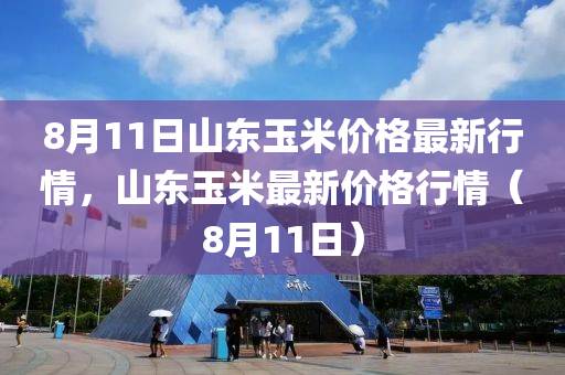 8月11日山東玉米價(jià)格最新行情，山東玉米最新價(jià)格行情（8月11日）