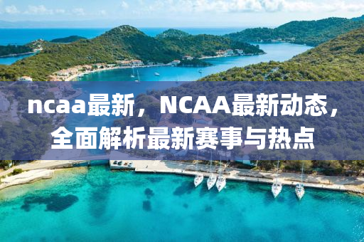 ncaa最新，NCAA最新動(dòng)態(tài)，全面解析最新賽事與熱點(diǎn)