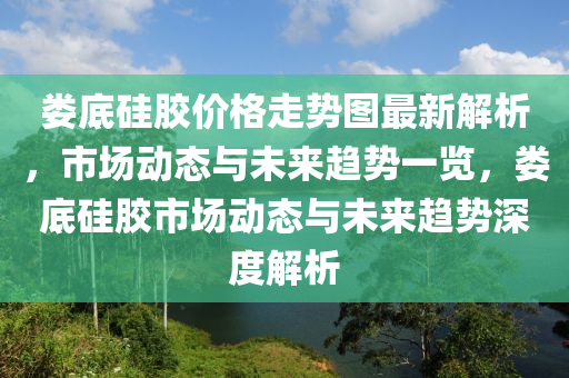 婁底硅膠價格走勢圖最新解析，市場動態(tài)與未來趨勢一覽，婁底硅膠市場動態(tài)與未來趨勢深度解析