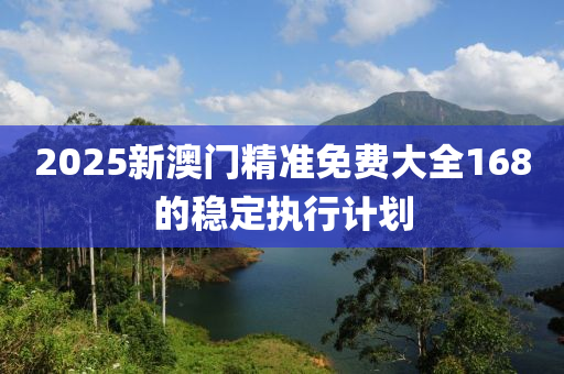 2025新澳門精準免費大全168的穩(wěn)定執(zhí)行計劃