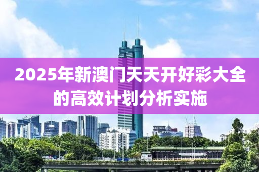 2025年新澳門天天開好彩大全的高效計劃分析實施