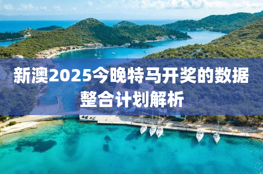 新澳2025今晚特馬開獎的數(shù)據(jù)整合計劃解析