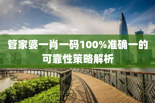 管家婆一肖一碼100%準(zhǔn)確一的可靠性策略解析