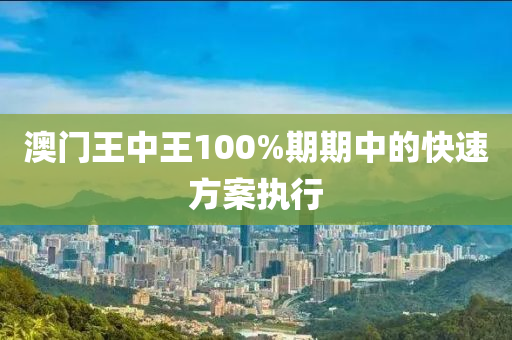 澳門王中王100%期期中的快速方案執(zhí)行