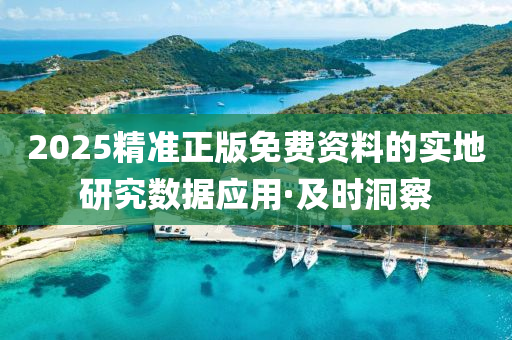 2025精準正版免費資料的實地研究數(shù)據(jù)應用·及時洞察