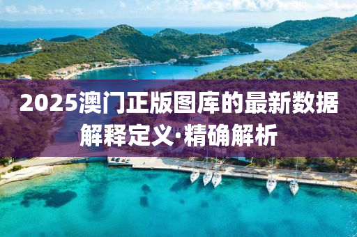 2025澳門正版圖庫的最新數(shù)據(jù)解釋定義·精確解析