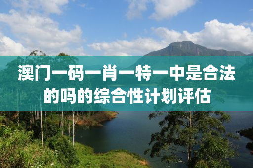 澳門一碼一肖一特一中是合法的嗎的綜合性計劃評估