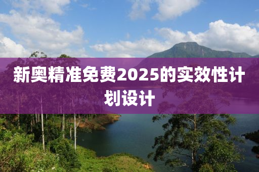 新奧精準免費2025的實效性計劃設計