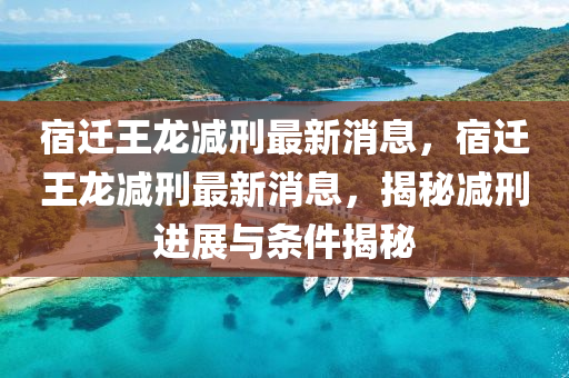 宿遷王龍減刑最新消息，宿遷王龍減刑最新消息，揭秘減刑進展與條件揭秘