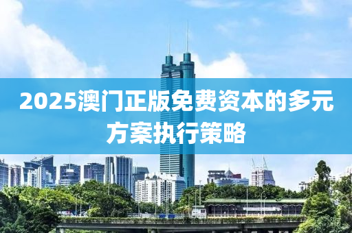 2025澳門(mén)正版免費(fèi)資本的多元方案執(zhí)行策略