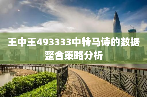 王中王493333中特馬詩的數(shù)據整合策略分析