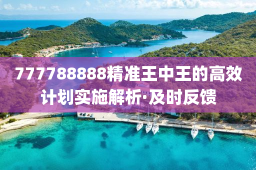 777788888精準(zhǔn)王中王的高效計劃實(shí)施解析·及時反饋