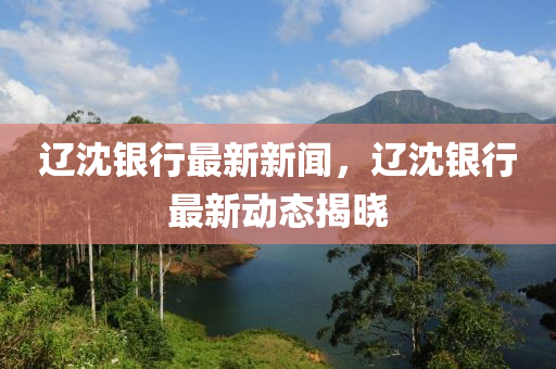 遼沈銀行最新新聞，遼沈銀行最新動態(tài)揭曉