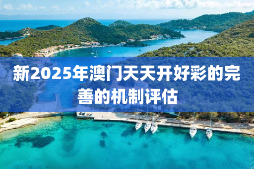 新2025年澳門天天開(kāi)好彩的完善的機(jī)制評(píng)估