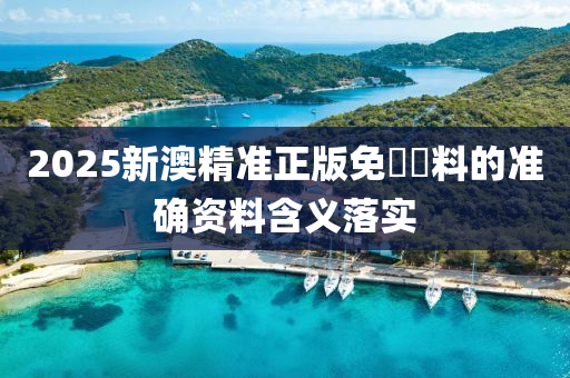 2025新澳精準正版免費資料的準確資料含義落實