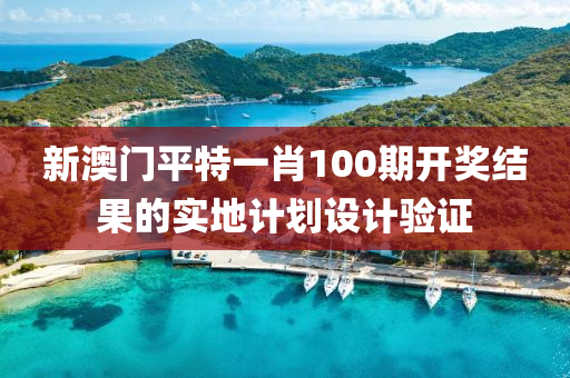 新澳門平特一肖100期開獎結(jié)果的實地計劃設計驗證