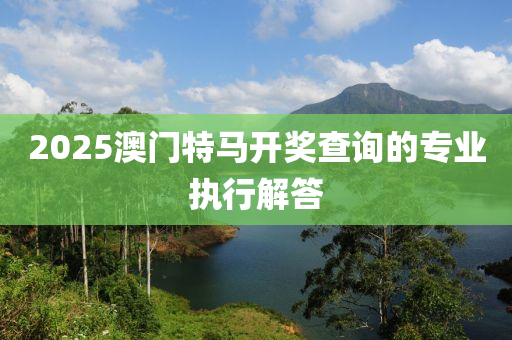 2025澳門特馬開獎查詢的專業(yè)執(zhí)行解答