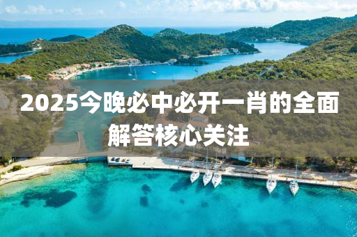 2025今晚必中必開一肖的全面解答核心關注