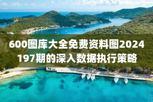 600圖庫大全免費(fèi)資料圖2024197期的深入數(shù)據(jù)執(zhí)行策略