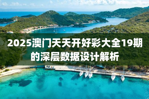 2025澳門天天開好彩大全19期的深層數(shù)據(jù)設(shè)計(jì)解析