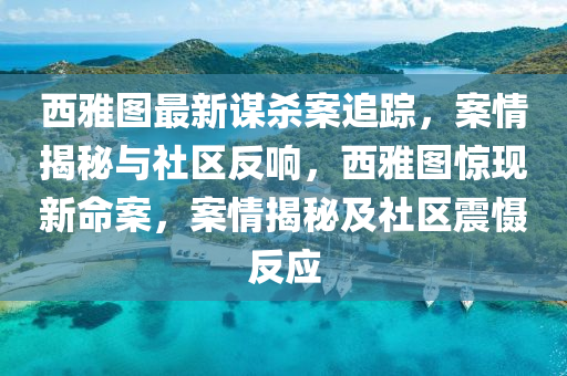 西雅圖最新謀殺案追蹤，案情揭秘與社區(qū)反響，西雅圖驚現(xiàn)新命案，案情揭秘及社區(qū)震懾反應(yīng)