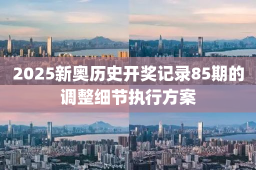 2025新奧歷史開獎記錄85期的調(diào)整細節(jié)執(zhí)行方案