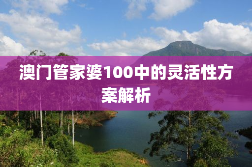 澳門管家婆100中的靈活性方案解析