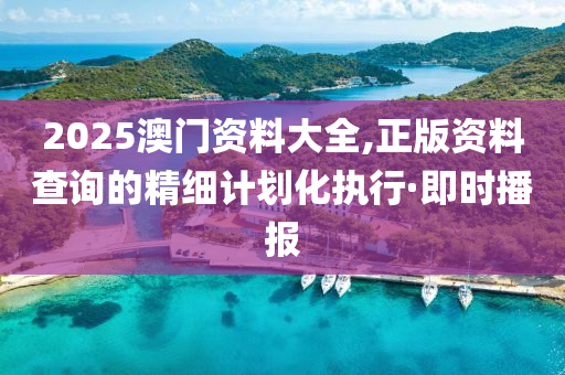 2025澳門資料大全,正版資料查詢的精細(xì)計劃化執(zhí)行·即時播報