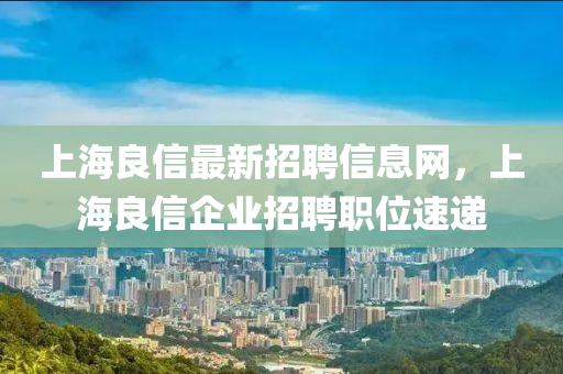 上海良信最新招聘信息網(wǎng)，上海良信企業(yè)招聘職位速遞