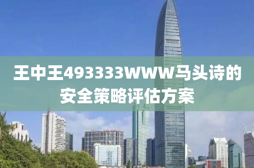 王中王493333WWW馬頭詩的安全策略評估方案