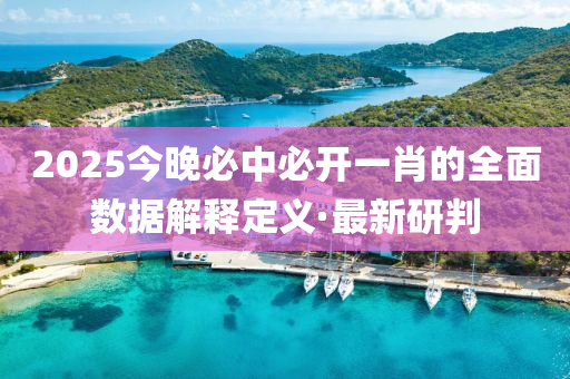 2025今晚必中必開一肖的全面數(shù)據(jù)解釋定義·最新研判