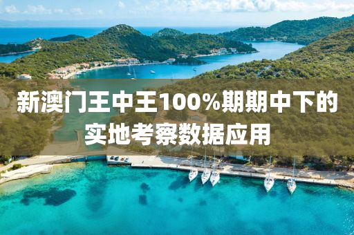 新澳門王中王100%期期中下的實地考察數據應用