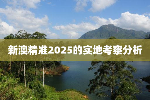 新澳精準(zhǔn)2025的實地考察分析